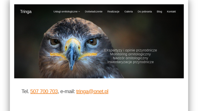 www.tringa.biz.pl